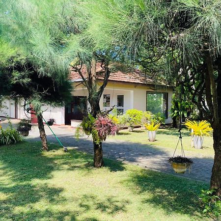 Hotel The Beez Negombo Exterior foto